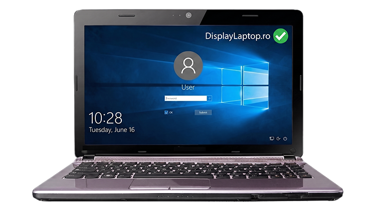 Display Laptop Service